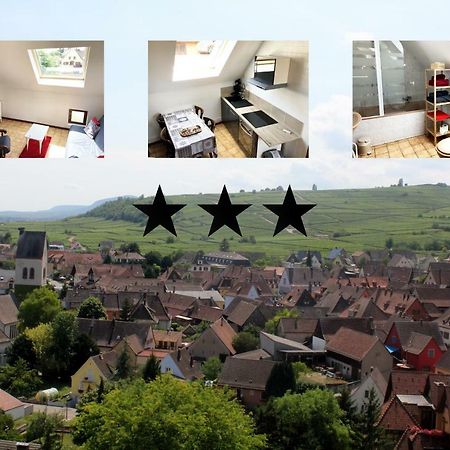 Gite Des 5 Cigognes Rouge Mittelwihr Exteriér fotografie