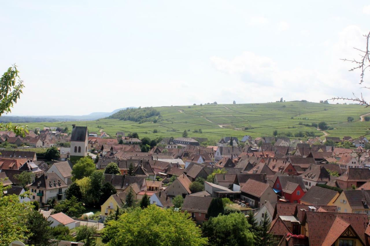 Gite Des 5 Cigognes Rouge Mittelwihr Exteriér fotografie