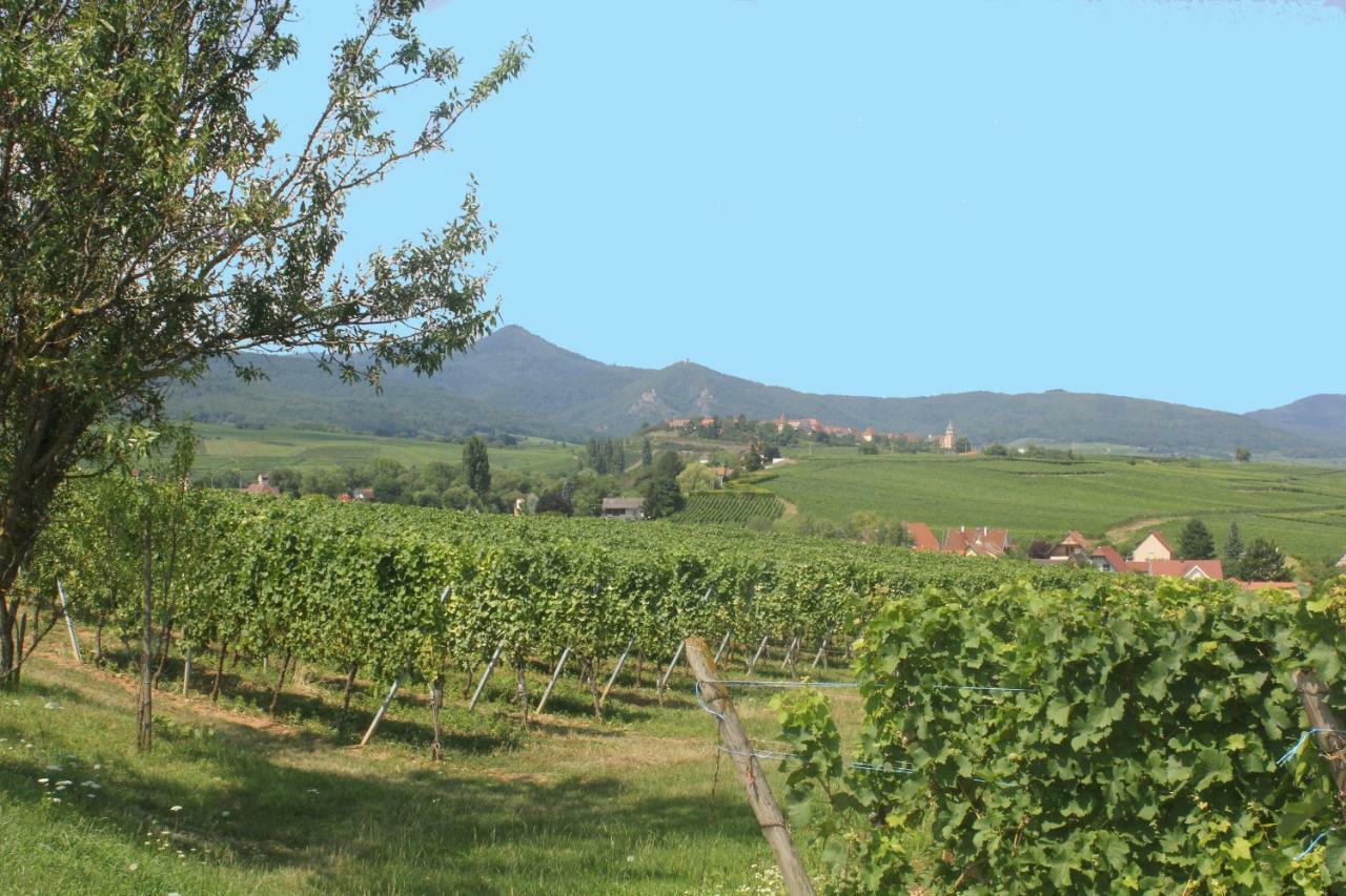 Gite Des 5 Cigognes Rouge Mittelwihr Exteriér fotografie