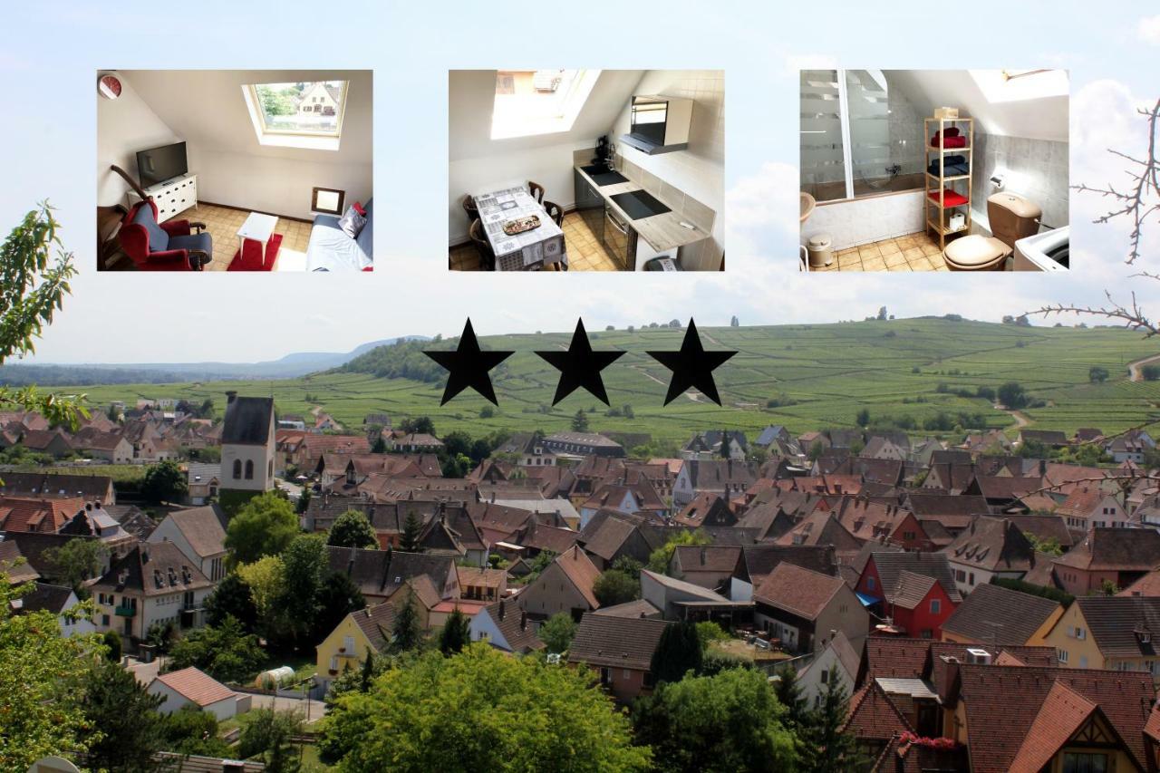 Gite Des 5 Cigognes Rouge Mittelwihr Exteriér fotografie