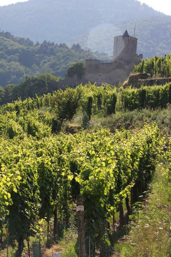 Gite Des 5 Cigognes Rouge Mittelwihr Exteriér fotografie