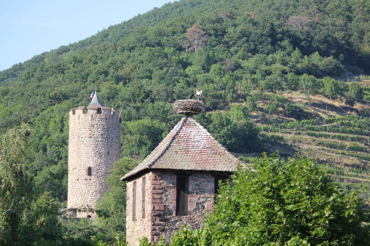 Gite Des 5 Cigognes Rouge Mittelwihr Exteriér fotografie